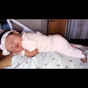 Meet your Posher, Rosy